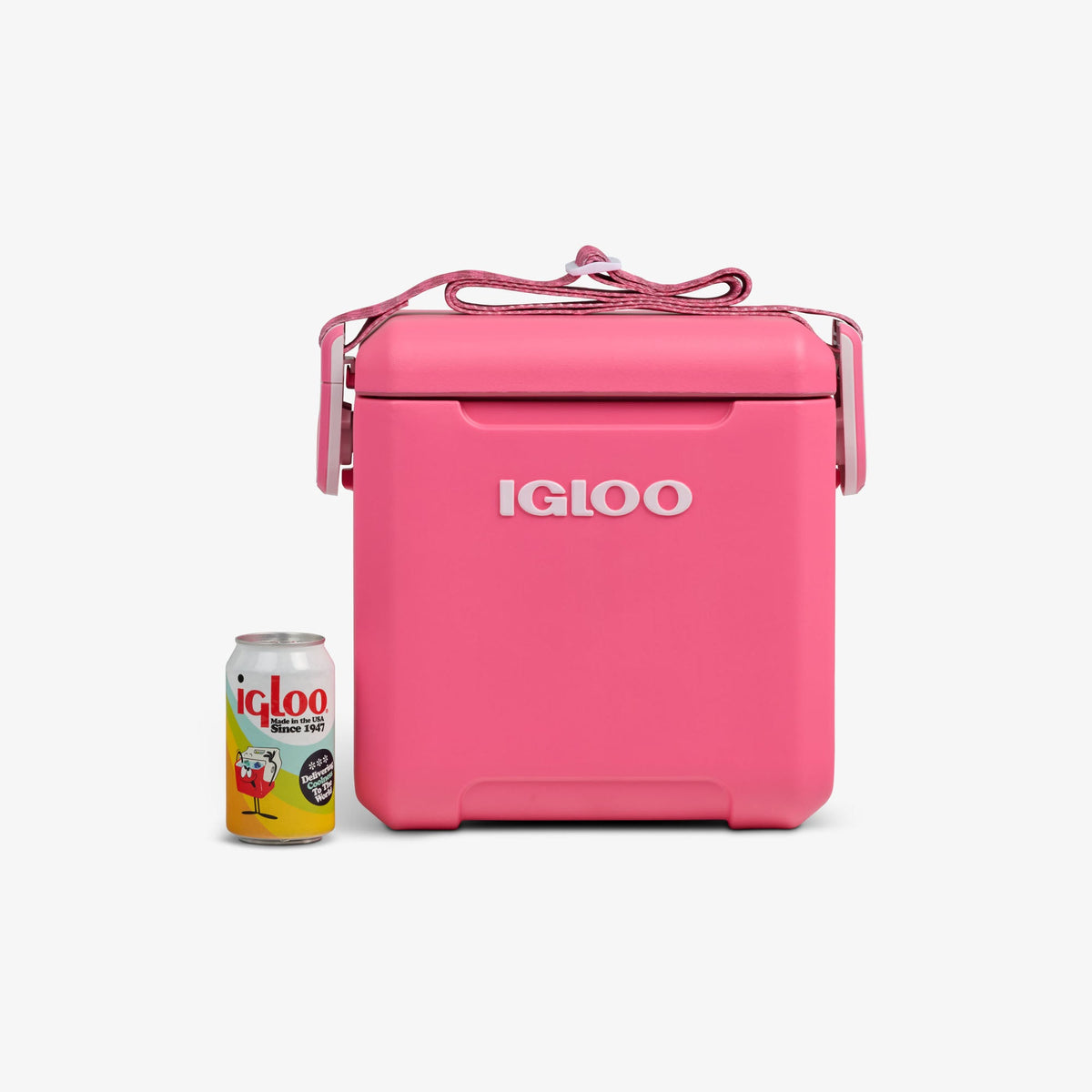 tag-along-too-remix-cooler-z0 00033199-P_861a5cd2-f15c-4217-a471-e33cc3890d9e.jpg