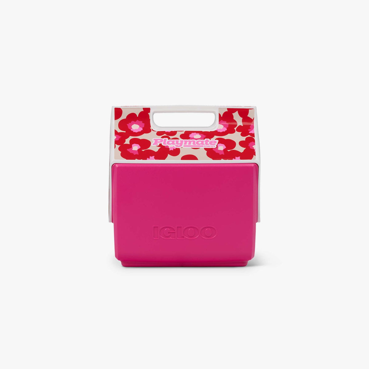 retro-little-playmate-7-qt-cooler-f8 00033311-F.jpg