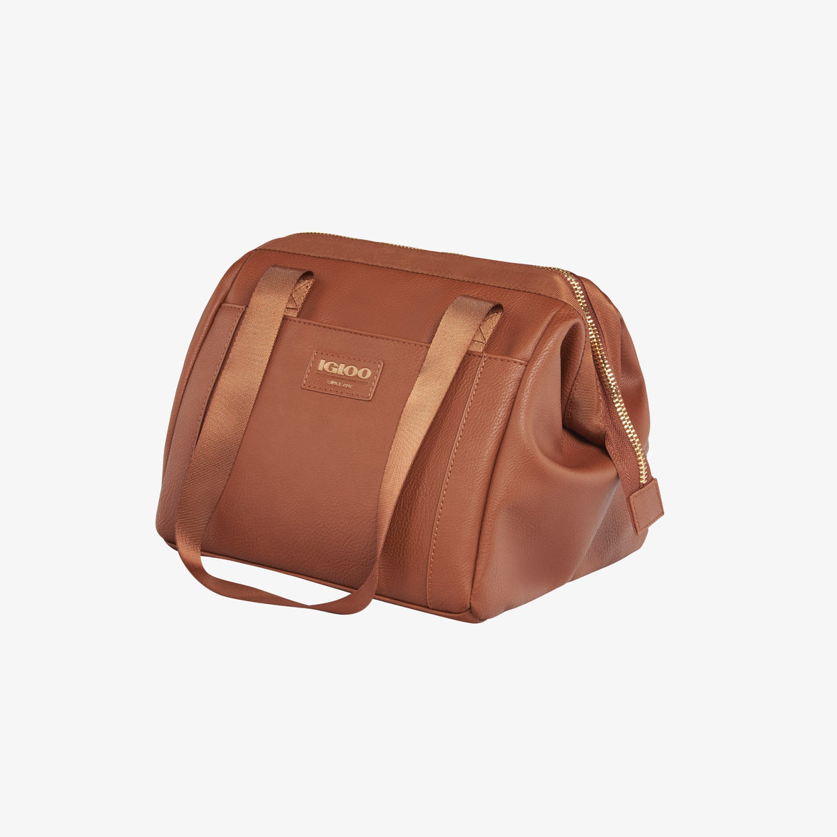 igloo-luxe-lunch-tote-cooler-bag-e1 00061160_2.jpg
