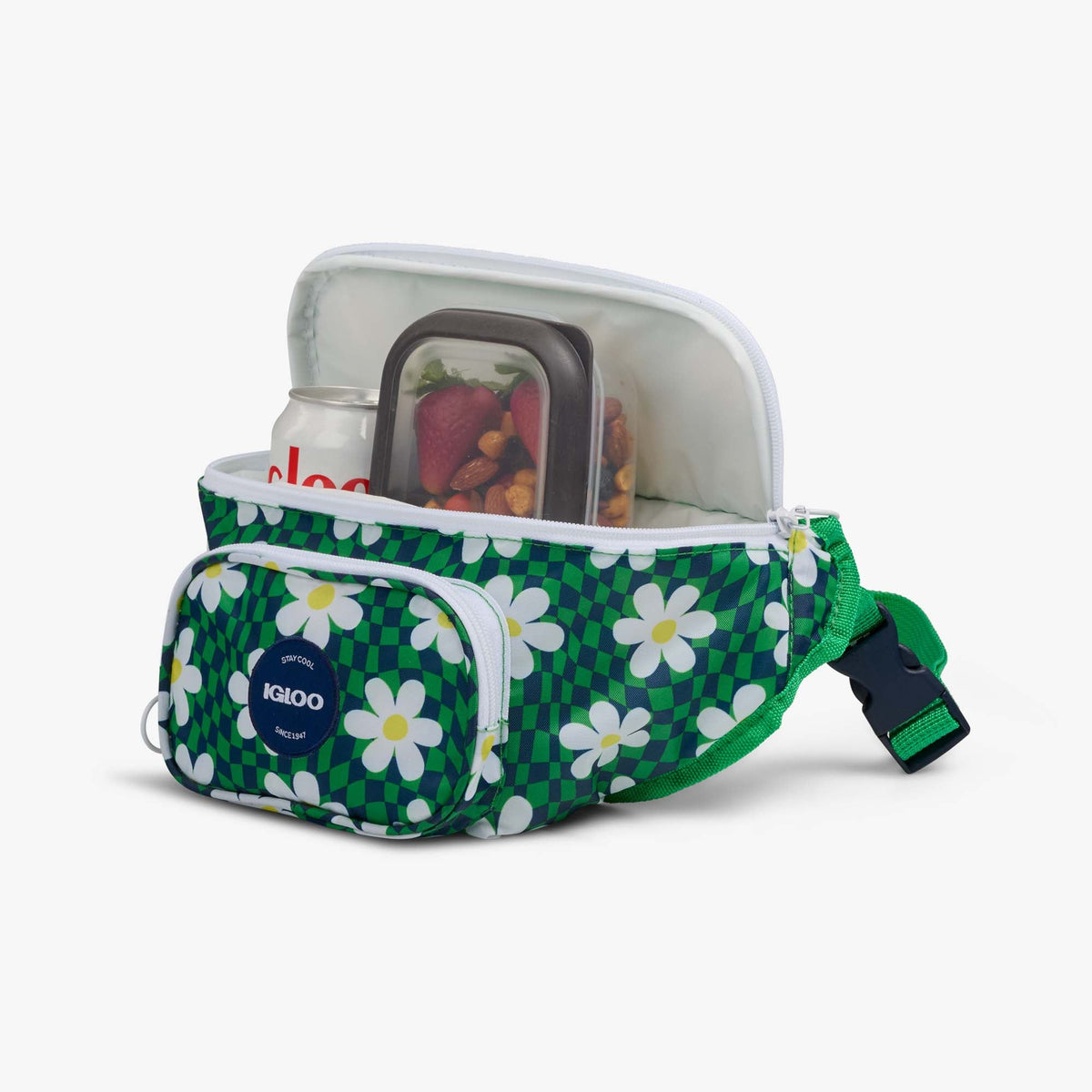retro-fanny-pack-v7 00067206-P1.jpg